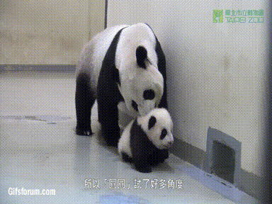 Baby robot Gifs tech 
