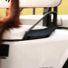 Baby GIF. Baby Mama Gifs Leven Schattig babay Babay 