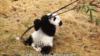 Schattig Demi lovato Baby Gifs mooi lach aw schattig gif lach gif Demi Lovato gif lova 