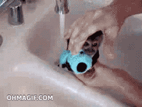 Baby GIF. Bad Dieren Grappig Schattig Baby Gifs De baby aap 