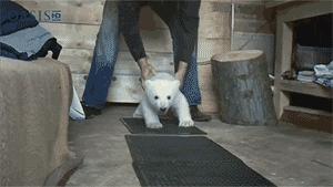 Baby GIF. Baby Engel Prinses Gifs Miss een Jia Gif: missen Ik bracht 80 jaar het verplaatsen 