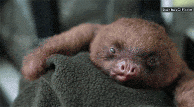 Bioscoop Vliegtuigen Baby Kinderen Gifs wtf klassiek 