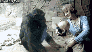 Dieren Baby Gifs yikes chimp beestjes chimpansees haat mensen 
