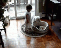 Baby GIF. Dieren Baby Gifs Cheetah 