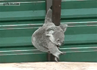 Baby Koffie Gifs mislukken grootmoeder morsen 