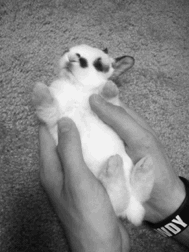 Baby GIF. Baby Sexy Gifs Bovennatuurlijk Fotografie Jensen ackles Dean winchester Fotoshoot Oh my 