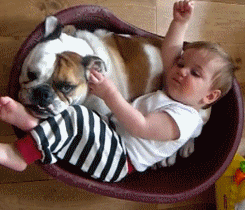 Baby GIF. Disney Tarzan Baby Gifs Huggies 