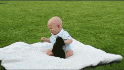 Baby GIF. Dieren Schattig Baby Egel Gifs Geeuw 