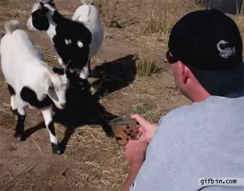 Baby Gifs geschokt verbaasd tunnel 
