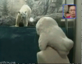 Baby GIF. Dieren Baby Gifs Hert Pudu 