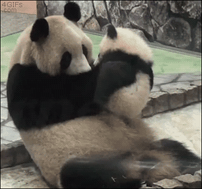 Baby Ninja Gifs tik Enter the Dragon 