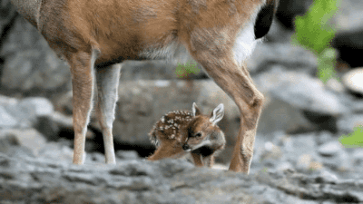 Ijs Baby Sneeuw Gifs kind kleuter schattige baby grappige kinderen 