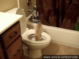 Baby Gifs 2011 Ezra Miller een andere gelukkige dag 