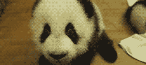 Baby Lol Gifs plezier animatie celebs gif foxadhd animatie overheersing highdef cartoon 
