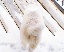 Baby GIF. Baby Star trek Gifs  Zoet Star trek into darkness Jim kirk Captain kirk James kirk Idst 