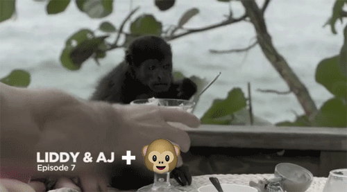 Baby Lol Gifs plezier animatie celebs gif foxadhd animatie overheersing highdef cartoon 
