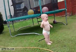 Struisvogel Baby Gifs tonen af 