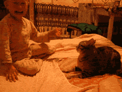 Baby GIF. Bioscoop Vliegtuigen Baby Kinderen Gifs Wtf Klassiek 