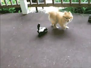 Baby GIF. Liefde Baby Isabella Gifs  Boom Ik houd van u Geluk Spatten Bad tijd Myphotos 