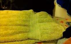 Olifant GIF. Dieren Olifant Baby Gifs Rechts 