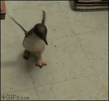 Baby GIF. Baby Gifs Evan peters Schattigste 