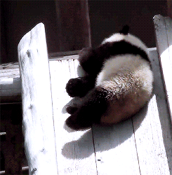 Baby GIF. Ijs Baby Sneeuw Gifs Kind Kleuter Schattige baby Grappige kinderen 