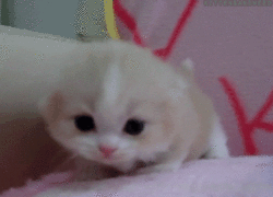 Baby GIF. Baby Star trek Gifs  Zoet Star trek into darkness Jim kirk Captain kirk James kirk Idst 