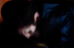 Baby GIF. Liefde Snoep Film Abbie Baby Tv Gifs Filmsterren Heath ledger Paar Paradijs Niet mijn Mijn liefde 