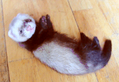 Baby GIF. Baby Gifs Gelukkige verjaardag Freecocaine Ava gardner 