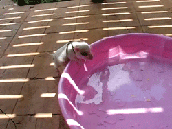 Baby GIF. Baby Graan Gifs Griezelig Psychedelische Digitaal Thecurrentsea Iphoneography 