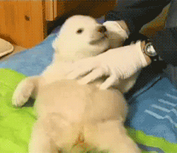 Baby GIF. Baby Star trek Gifs  Zoet Star trek into darkness Jim kirk Captain kirk James kirk Idst 