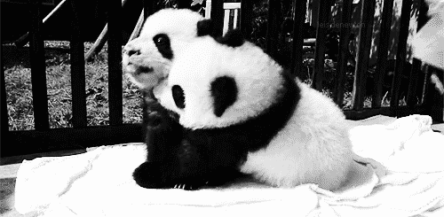 China Baby Gifs metro Taiwanese animatie nmatv openbaar vervoer vandalisme plassen toer 
