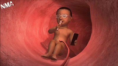 Dieren Baby Gezicht Gifs likken rollen fret 