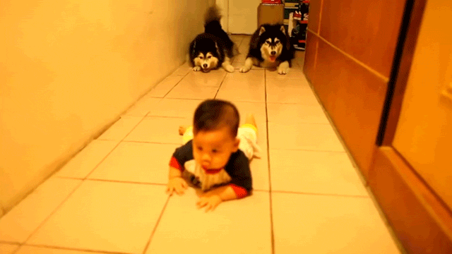 Baby Gifs transparant 