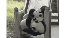 Baby GIF. Baby Gifs Parken en rec 