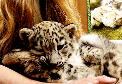 Baby GIF. Baby Gifs Haten Haters Kruipen Haters gaan haten 