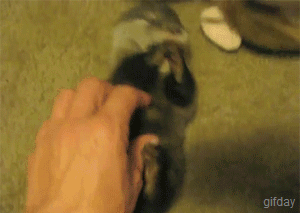 Baby GIF. Baby Star trek Gifs  Zoet Star trek into darkness Jim kirk Captain kirk James kirk Idst 