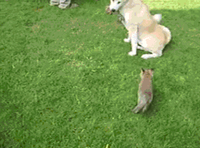 Baby GIF. Huilen Baby Gifs Kilte Kalmeren 