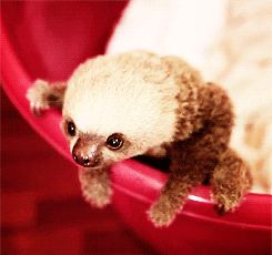 Baby GIF. Dansen Baby Gifs Dans Moderne dans 