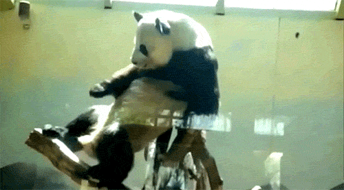 Bang Baby Gifs speelbal kind 