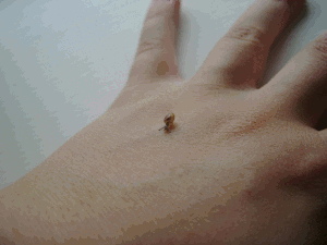Baby GIF. Baby Star trek Gifs  Zoet Star trek into darkness Jim kirk Captain kirk James kirk Idst 