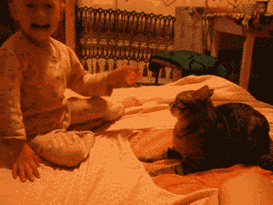 Baby GIF. Dieren Baby Gifs Hert Pudu 