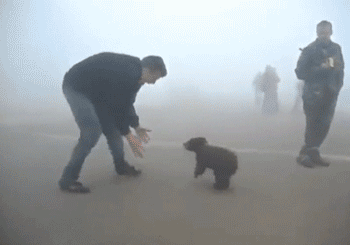 Disney Tarzan Baby Gifs Huggies 