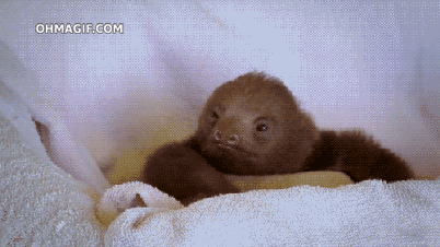 Baby Gifs mislukken 