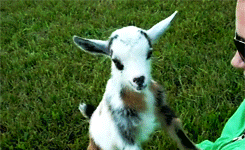 Baby GIF. Baby Gifs Evan peters Schattigste 