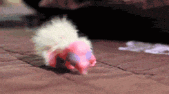 Baby GIF. Tien Baby Gifs Heet A Arts die David tennant Tiende arts Dw Hij is zo schattig Dw cast 
