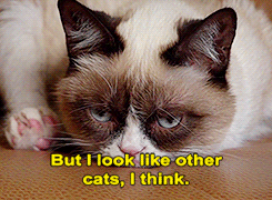 Baby GIF. Baby Gifs Gelukkige verjaardag Freecocaine Ava gardner 