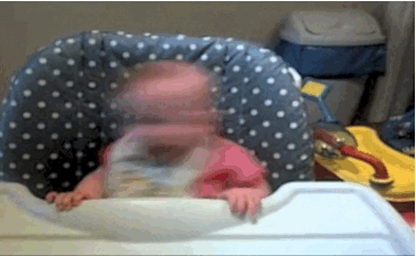 Dieren Baby Walrus Gifs 