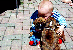 Baby GIF. Eenden Water Baby Gifs Glijbaan 