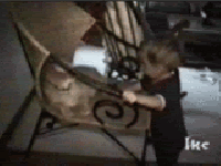 Baby GIF. Dieren Olifant Baby Gifs 
